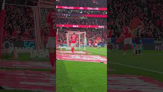 3RgtHpFU_x4 Video Image