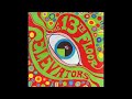 13th Floor Elevators: You're Gonna Miss Me