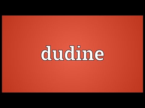 Header of dudine