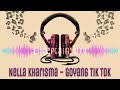Nella Kharisma - Goyang Tik Tok (Lirik Video) HD