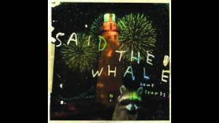 Watch Said The Whale Plans For The Future video