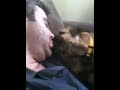 Bacio tra cane e padrone