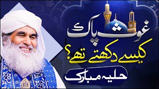 Ghous e Azam Ka Hulya Mubarak Kesa Tha? | Sheikh Abdul Qadir Gilani | Maulana Il