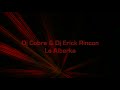 Dj Cobra & Dj Erick Rincon- La Alberka tRIBAl 2010