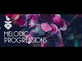Melodic Progressions Show 322 (With Absorb Projects) 12.05.2023