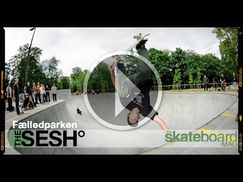 The Sesh: Faelledparken