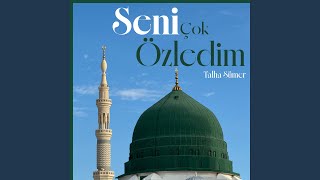 Tez İle Gidem