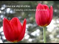 The Serenity Prayer - For Someone You Care ecards - Flowers Greeting Cards The Serenity Prayer - For Someone You Care ecards - Flowers Greeting Cards