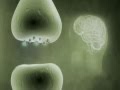 Monterey Marijuana Medicine: The case for health care marijuana investigation on PTSD default Monterey Marijuana Medicine: The case for health care marijuana investigation on PTSD