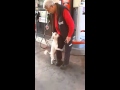 Kopek ve insan iliskisi bukadar olur :))))
