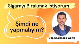 Sigarayı Bırakmak İstiyorum Şi̇mdi̇ Ne Yapmaliyim?