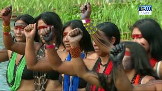 Amazzonia, Continua La Deforestazione. A Ottobre Il Sinodo Voluto Dal Papa