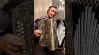 Alekso Vasilevičiaus Polkutė.