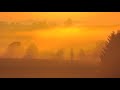 Peer Gynt - Morgenstimmung, morning mood (Suite, Grieg, klassische Musik, Morgen, Stimmung)