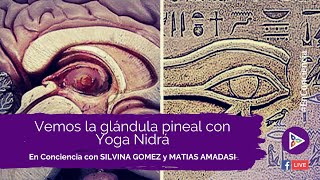 Vemos la glándula pineal con Yoga Nidra | Silvina Gomez y Matias Amadasi | #Enconciencia