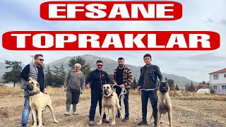 Efsaneler Burdan Çikti