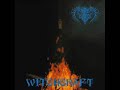 Torned Winds From A Past Star Video preview