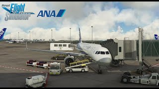 Msfs 2020 2K Full Flight Hiroshima Rjoa - Tokyo Haneda Rjtt A32N Nh684
