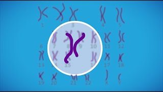 Prenatal Testing For Chromosomal Abnormalities