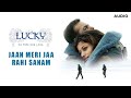 Jaan Meri Jaa Rahi Sanam | Lucky | 2005