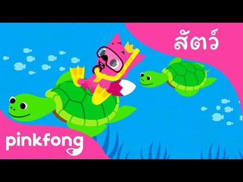 ใต้ทะเล | เพลงสัตว์ | พิ้งฟอง(Pinkfong) เพลงและนิทาน