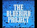Bluebird Project - Promo