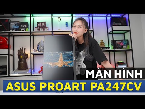 Màn hình chuyên đồ họa chỉ có 5 triệu đồng? - Asus ProArt PA247CV | An Phát Computer
