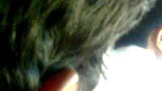 Channai Mel.3Gp