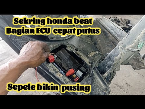 Causes of Honda Beat fuses blowing frequently // Honda Beat ECU fuses blowing quickly @Blututoli