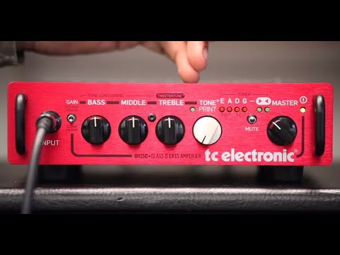 BH250 Bass Head - 5 Things to Know