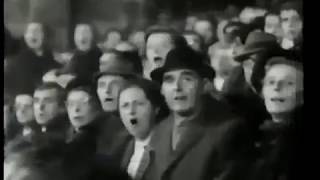 3WXtFS8edYo Video Image