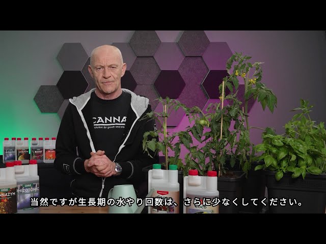Watch (日本/Japanese) COCO培地とハンド・ウォータリング on YouTube.