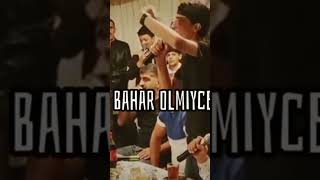 Balaeli Daha Meyxanada Bahar Olmayacaq 2022