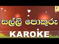 Salli Pokuru - Karoke Without Voice