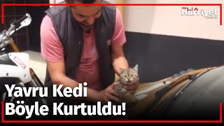 Ön Camdaki Notla Kurtuldu Kaputta Kedi Var