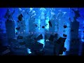「Fate／stay night」Heaven's Feel PV01