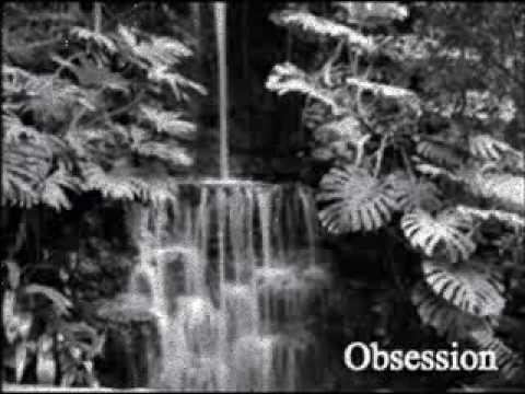 obsession aventura english obsession aventura english