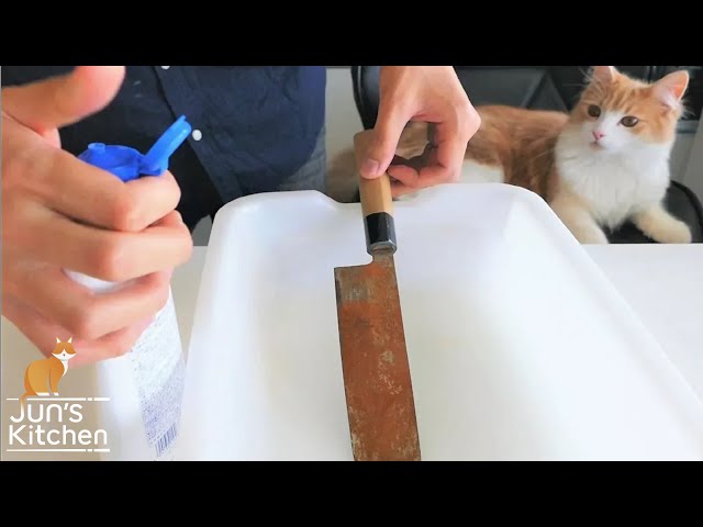 You’ll Never Guess What Happens After Polishing This Rusty Knife - Video