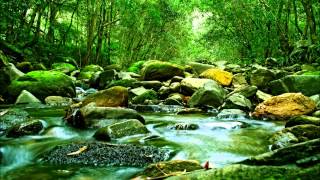 Música para aplicação de Reiki (11), marcação a cada 3 min. (recomendada por Johnny De' Carli)