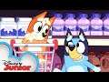 Bluey and Bingo Go Grocery Shopping 🛒 | Bluey | Disney Junior