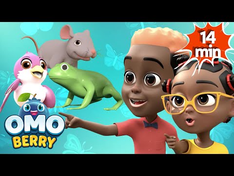 Uploads from OmoBerry