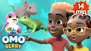 Let's Learn About Animals | Nursery Rhymes and Songs for Kids | OmoBerry