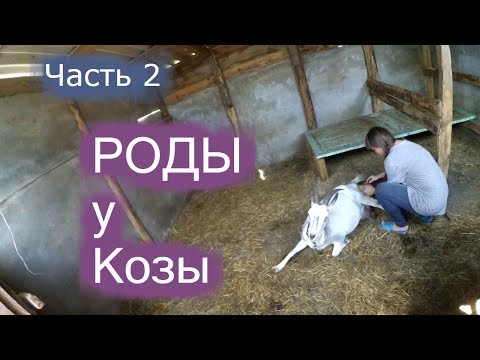 Народные приметы на осень. Осенние пословицы и Можно ли уйти в декрет позже 30 недель беременности? » Юридическая