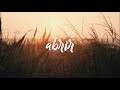 Abrir Video preview