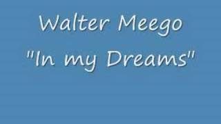 Watch Walter Meego In My Dreams video