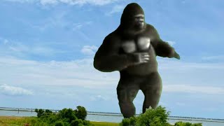 Green Screen Gorillavfxgraphicsking Kong Dance Brown Gorilla Dancefree Use Animation