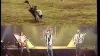 Video Animals Nazareth