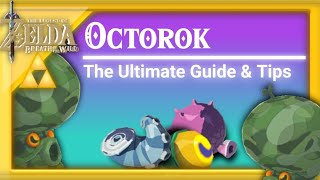 Octorok Farming Location - The Legend Of Zelda Breath Of The Wild