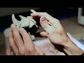 Creature Effects