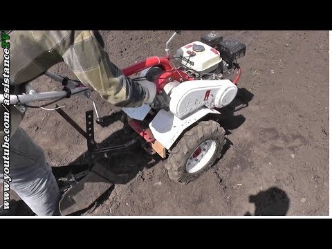 Сажать картошку под мотоблок Сажать картошку под мотоблок